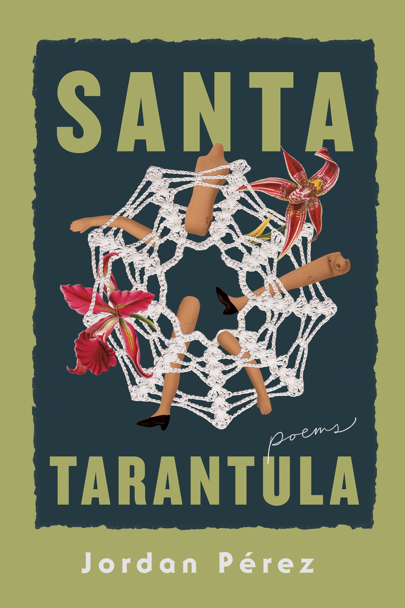 Cover image for Santa Tarantula ISBN 9780268207533